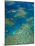 Australia, Queensland, North Coast, Cairns Area, Great Barrier Reef, Aerial View of Moore Reef-Walter Bibikow-Mounted Photographic Print