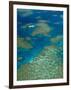 Australia, Queensland, North Coast, Cairns Area, Great Barrier Reef, Aerial View of Moore Reef-Walter Bibikow-Framed Photographic Print