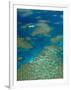 Australia, Queensland, North Coast, Cairns Area, Great Barrier Reef, Aerial View of Moore Reef-Walter Bibikow-Framed Photographic Print