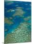 Australia, Queensland, North Coast, Cairns Area, Great Barrier Reef, Aerial View of Moore Reef-Walter Bibikow-Mounted Photographic Print