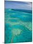Australia, Queensland, Whitsunday Coast, Great Barrier Reef, Aerial View-Walter Bibikow-Mounted Photographic Print
