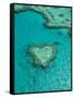 Australia, Queensland, Whitsunday Coast, Great Barrier Reef, Heart Reef, Aerial View-Walter Bibikow-Framed Stretched Canvas