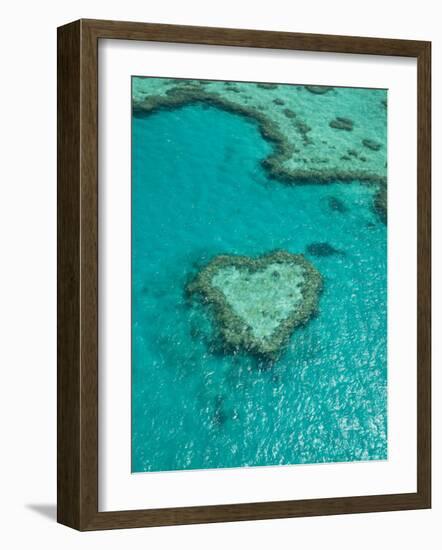 Australia, Queensland, Whitsunday Coast, Great Barrier Reef, Heart Reef, Aerial View-Walter Bibikow-Framed Photographic Print