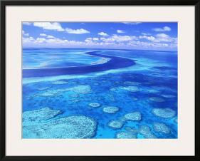 Australia's Great Barrier Reef-Theo Allofs-Framed Photographic Print
