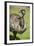 Australia, South Australia, Adelaide. Cleland Wildlife Park. Emu-Cindy Miller Hopkins-Framed Photographic Print