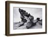 Australia, South Australia, Kangaroo Island. Remarkable Rocks-Walter Bibikow-Framed Photographic Print