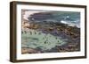 Australia, Sydney, Bronte, Bronte Beach, Elevated View-Walter Bibikow-Framed Photographic Print