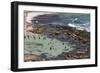 Australia, Sydney, Bronte, Bronte Beach, Elevated View-Walter Bibikow-Framed Photographic Print