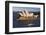 Australia, Sydney, Circular Quay, Sydney Opera House at Dusk-Walter Bibikow-Framed Photographic Print