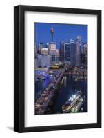 Australia, Sydney, Darling Harbor, and Pyrmont Bridge, Elevated View-Walter Bibikow-Framed Photographic Print