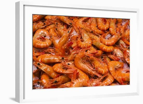 Australia, Sydney Fish Market, Shrimp-Walter Bibikow-Framed Photographic Print
