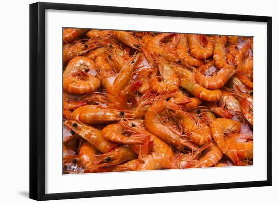 Australia, Sydney Fish Market, Shrimp-Walter Bibikow-Framed Photographic Print