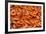 Australia, Sydney Fish Market, Shrimp-Walter Bibikow-Framed Photographic Print