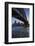 Australia, Sydney Harbor Bridge and Skyline from Milsons Point-Walter Bibikow-Framed Photographic Print