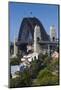Australia, Sydney Harbor Bridge from Observatory Park-Walter Bibikow-Mounted Photographic Print