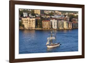 Australia, Sydney Harbor, Elevated View of Sailing Ship-Walter Bibikow-Framed Photographic Print