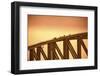 Australia, Sydney. People Crossing the Sydney Harbor Bridge-Rona Schwarz-Framed Photographic Print