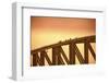 Australia, Sydney. People Crossing the Sydney Harbor Bridge-Rona Schwarz-Framed Photographic Print