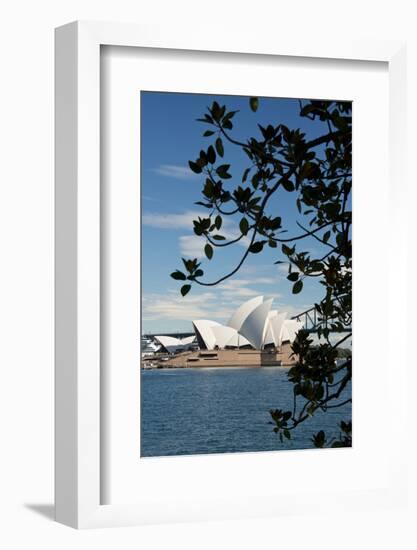 Australia, Sydney. View of the Sydney Opera House and Harbor Bridge-Cindy Miller Hopkins-Framed Photographic Print