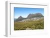 Australia, Tasmania, Cradle Mountain Lake Sinclair National Park. Cradle Mountain-Trish Drury-Framed Photographic Print