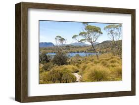 Australia, Tasmania. Cradle Mountain-Lake St. Clair NP. Lake Windermere, Mount Oakleigh.-Trish Drury-Framed Photographic Print