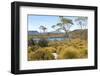 Australia, Tasmania. Cradle Mountain-Lake St. Clair NP. Lake Windermere, Mount Oakleigh.-Trish Drury-Framed Photographic Print