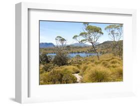 Australia, Tasmania. Cradle Mountain-Lake St. Clair NP. Lake Windermere, Mount Oakleigh.-Trish Drury-Framed Photographic Print