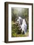 Australia, Tasmania. Cradle Mountain-Lake St. Clair NP, Overland Track. D'alton Falls on side trail-Trish Drury-Framed Photographic Print