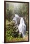 Australia, Tasmania. Cradle Mountain-Lake St. Clair NP, Overland Track. D'alton Falls on side trail-Trish Drury-Framed Photographic Print