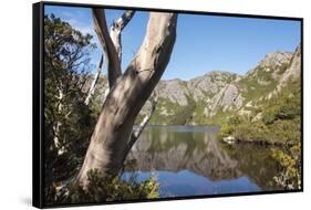 Australia, Tasmania, Cradle Mountain-Lake St Clair NP. Reflected mountains in Crater Lake.-Trish Drury-Framed Stretched Canvas