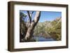 Australia, Tasmania, Cradle Mountain-Lake St Clair NP. Reflected mountains in Crater Lake.-Trish Drury-Framed Photographic Print