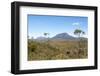 Australia, Tasmania, Cradle Mountain-Lake St Clair NP. Vistas from Overland Track.-Trish Drury-Framed Photographic Print