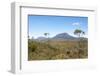 Australia, Tasmania, Cradle Mountain-Lake St Clair NP. Vistas from Overland Track.-Trish Drury-Framed Photographic Print