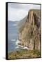 Australia, Tasmania. Dolerite columns Cape Hauy track Three Capes Track.-Trish Drury-Framed Stretched Canvas