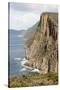 Australia, Tasmania. Dolerite columns Cape Hauy track Three Capes Track.-Trish Drury-Stretched Canvas