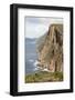 Australia, Tasmania. Dolerite columns Cape Hauy track Three Capes Track.-Trish Drury-Framed Photographic Print