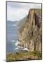 Australia, Tasmania. Dolerite columns Cape Hauy track Three Capes Track.-Trish Drury-Mounted Photographic Print