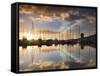 Australia, Tasmania, Hobart; Sunrise over Sandy Bay Marina-Andrew Watson-Framed Stretched Canvas