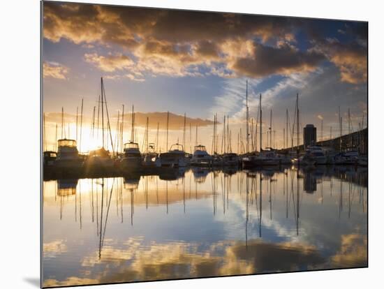 Australia, Tasmania, Hobart; Sunrise over Sandy Bay Marina-Andrew Watson-Mounted Photographic Print