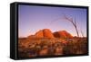 Australia the Olgas after Sunset, Uluru National Park-null-Framed Stretched Canvas