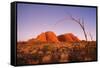 Australia the Olgas after Sunset, Uluru National Park-null-Framed Stretched Canvas