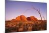 Australia the Olgas after Sunset, Uluru National Park-null-Mounted Photographic Print