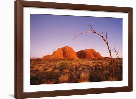 Australia the Olgas after Sunset, Uluru National Park-null-Framed Photographic Print