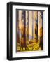 Australia - The Tallest Trees in the British Empire - Marysville, Victoria-Percy Trompf-Framed Art Print