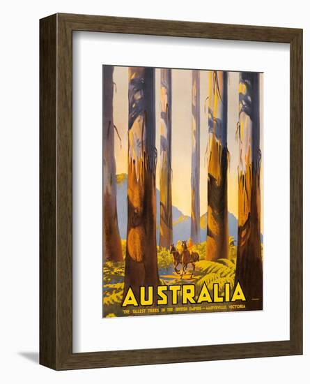 Australia - The Tallest Trees in the British Empire - Marysville, Victoria-Percy Trompf-Framed Art Print