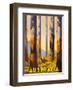 Australia - The Tallest Trees in the British Empire - Marysville, Victoria-Percy Trompf-Framed Art Print