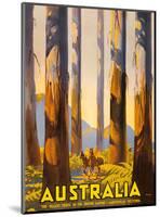 Australia - The Tallest Trees in the British Empire - Marysville, Victoria-Percy Trompf-Mounted Art Print