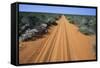 Australia, Tracks Through Desert-null-Framed Stretched Canvas