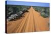 Australia, Tracks Through Desert-null-Stretched Canvas