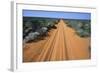 Australia, Tracks Through Desert-null-Framed Photo